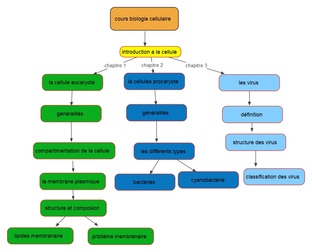 Cours Biologie Mol Culaire L Pdf